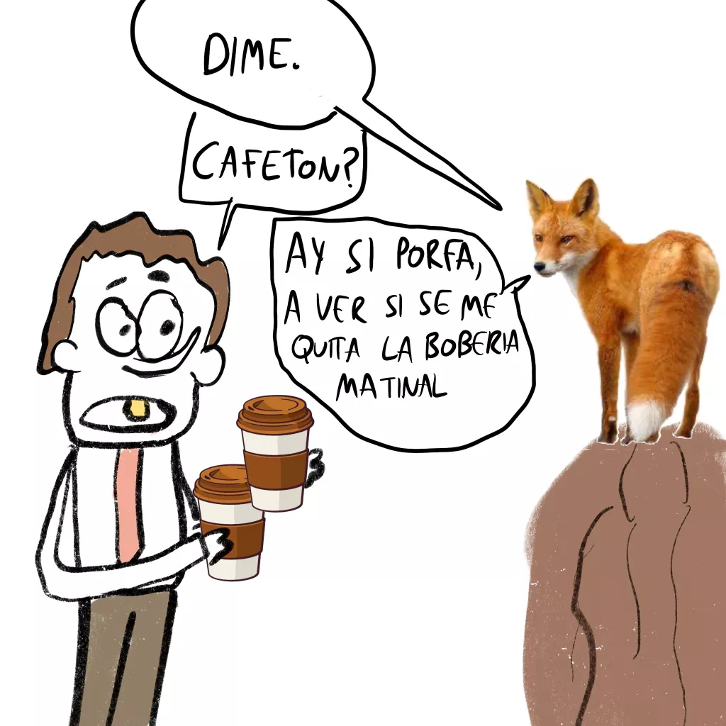 zorra